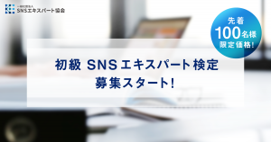 sns-expert-association-20170313